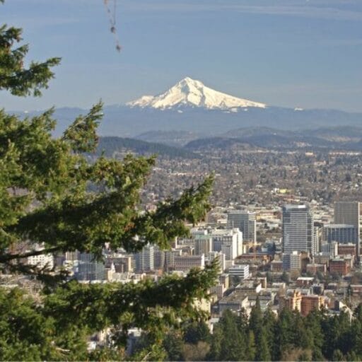 Mt. Hood